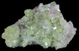 Sparkly Vesuvianite - Jeffrey Mine, Canada #64082-1